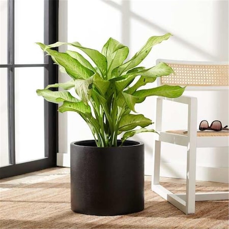 Safavieh Braslen Black Planter PAT1516A